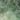 Color: Beryl