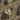Color: Shiny Python Mud Green